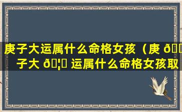 庚子大运属什么命格女孩（庚 🐛 子大 🦟 运属什么命格女孩取名）